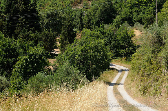 D300_135854