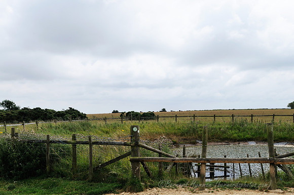 D300_99029