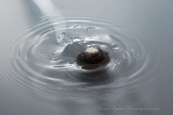 D70_20544