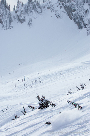 D70_20925.jpg