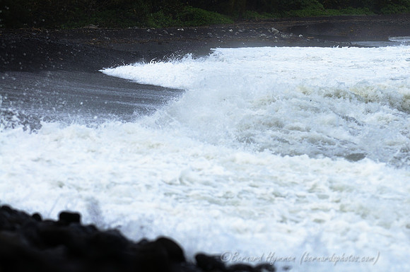 D300_125572
