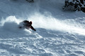 D70_20865.jpg