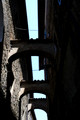 D300_135892