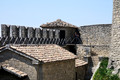 D300_136074