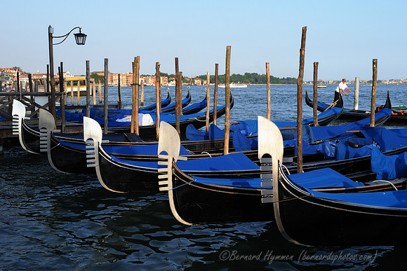 D300_45299.jpg