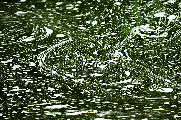 D300_98143