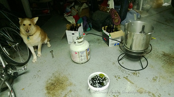 WP_20130113_004