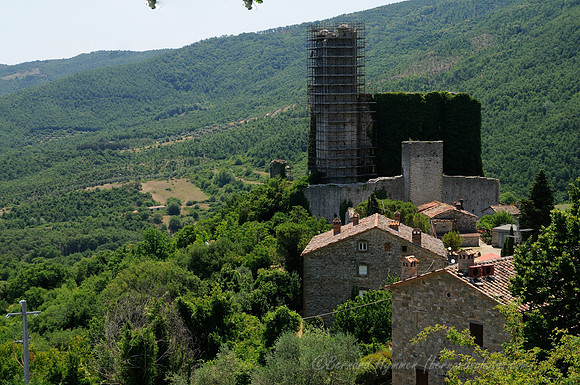 D300_135863