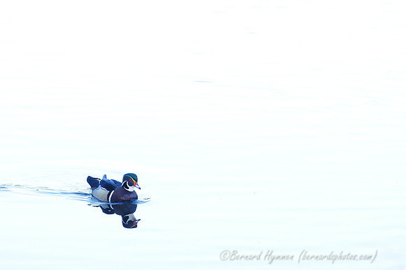 D300_83177
