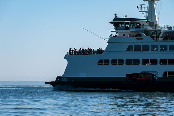 Z6_185854