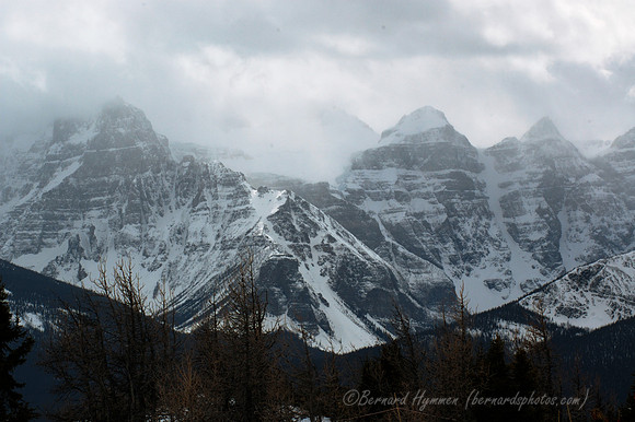 D70_21175