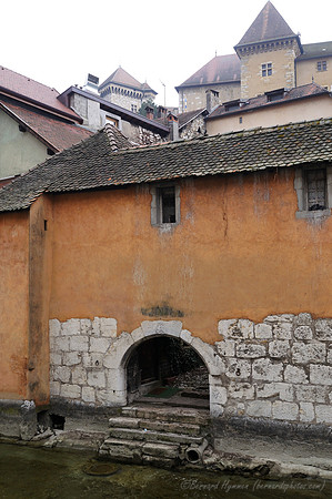 D300_84217