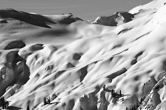 D300_60797
