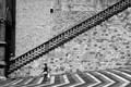 D300_135790