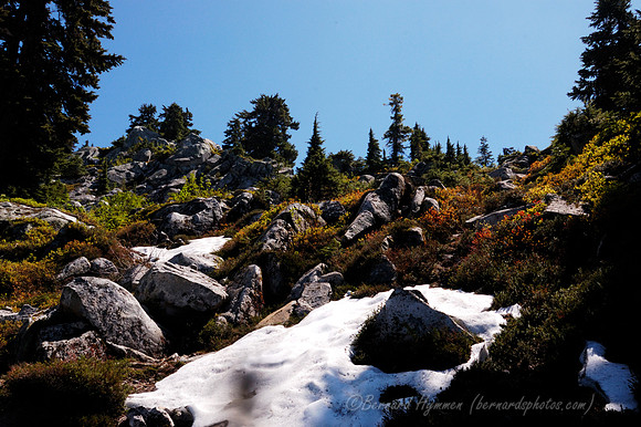 D70_23175