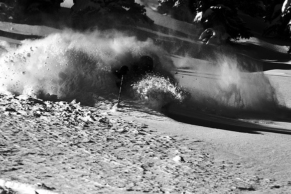 D300_54498bw