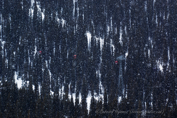 D70_21095