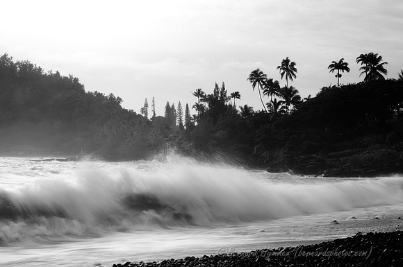 D300_125799