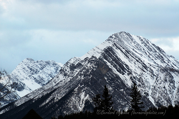 D70_21107