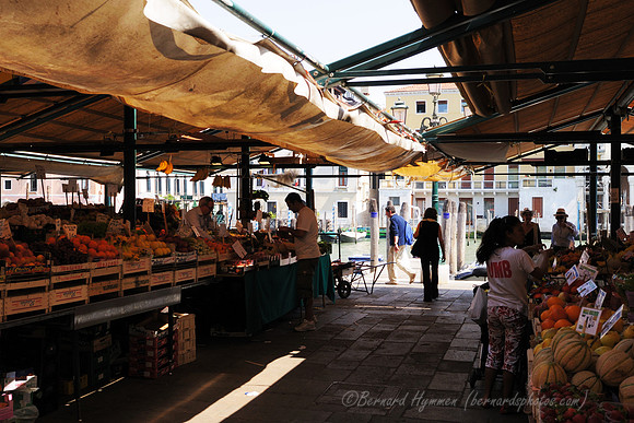 D300_45452.jpg