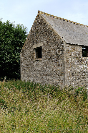 D300_99050