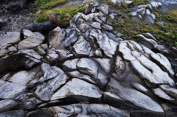 D300_125186