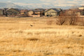 D300_59399