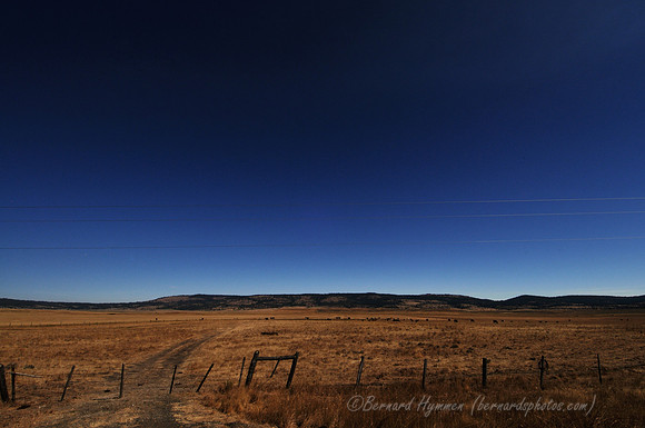 D300_136889