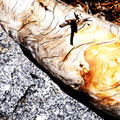 D300_65200