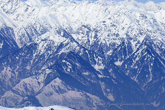 D300_69245