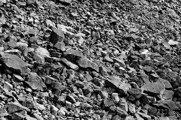 D300_146502