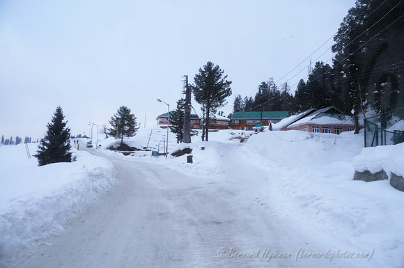 D300_69624