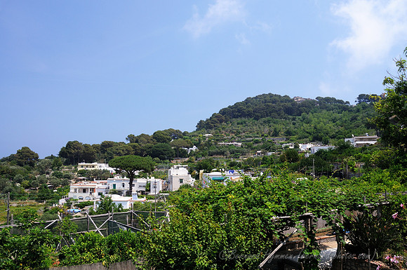 D300_135307