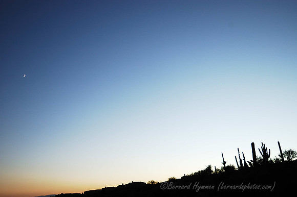D70_27499
