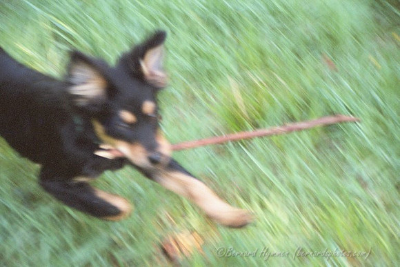 9QUV_018.JPG
