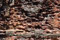 D300_135871