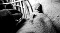 AdobePhotoshopExpress_c437cdfae62744c3ab8c4e24f2aab1bf