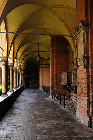 D300_47573.jpg