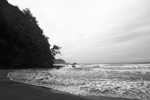 D300_126190