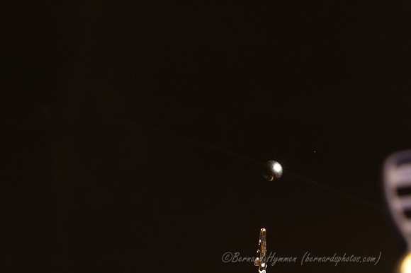 D70_21246