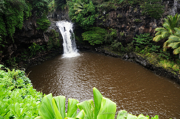 D300_125998