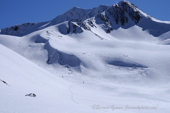 D300_69281