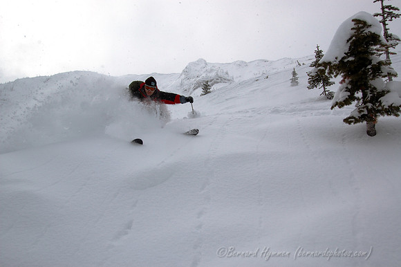 D70_20936.jpg