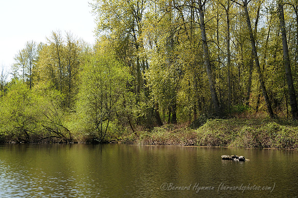 D300_71717