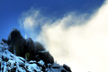 D300_29265