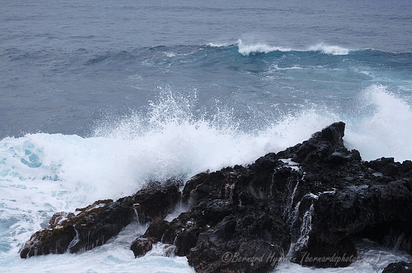 D300_125966
