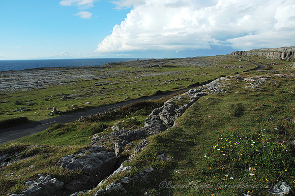 D70_059812004-08-23_01