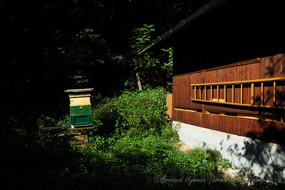 D70_18614