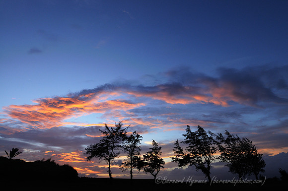 D300_125305