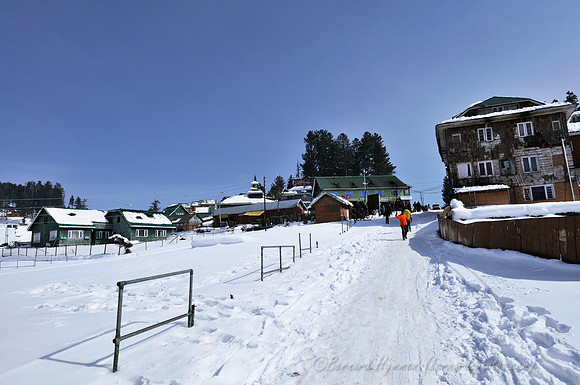 D300_69821
